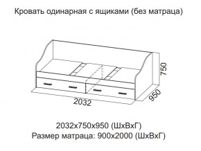 Кровать одинарная с ящиками (Без матраца 0,9*2,0) в Михайловске - mihajlovsk.magazin-mebel74.ru | фото