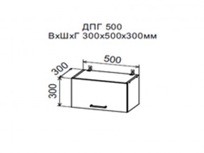 Шкаф верхний ДПГ500 горизонтальный в Михайловске - mihajlovsk.magazin-mebel74.ru | фото