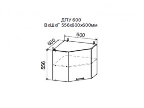 Шкаф верхний ДПУ600 угловой в Михайловске - mihajlovsk.magazin-mebel74.ru | фото